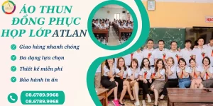 Áo thun đồng phục họp lớp đại học Atlan uy tín, chất lượng, giá gốc tận xưởng